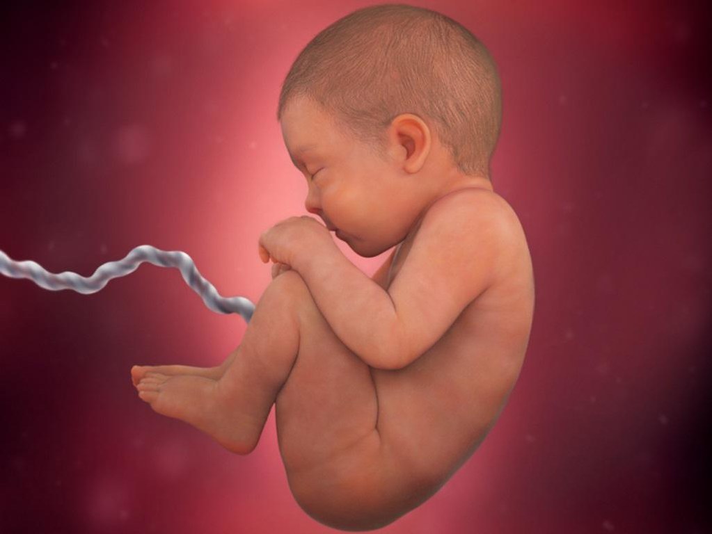 week-41-amniotic-fluid_4x3.jpg.pagespeed.ce.9kiWxgWVVU — related to Homeopathic doctor